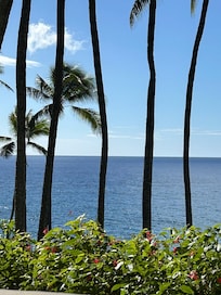 View from condo deck