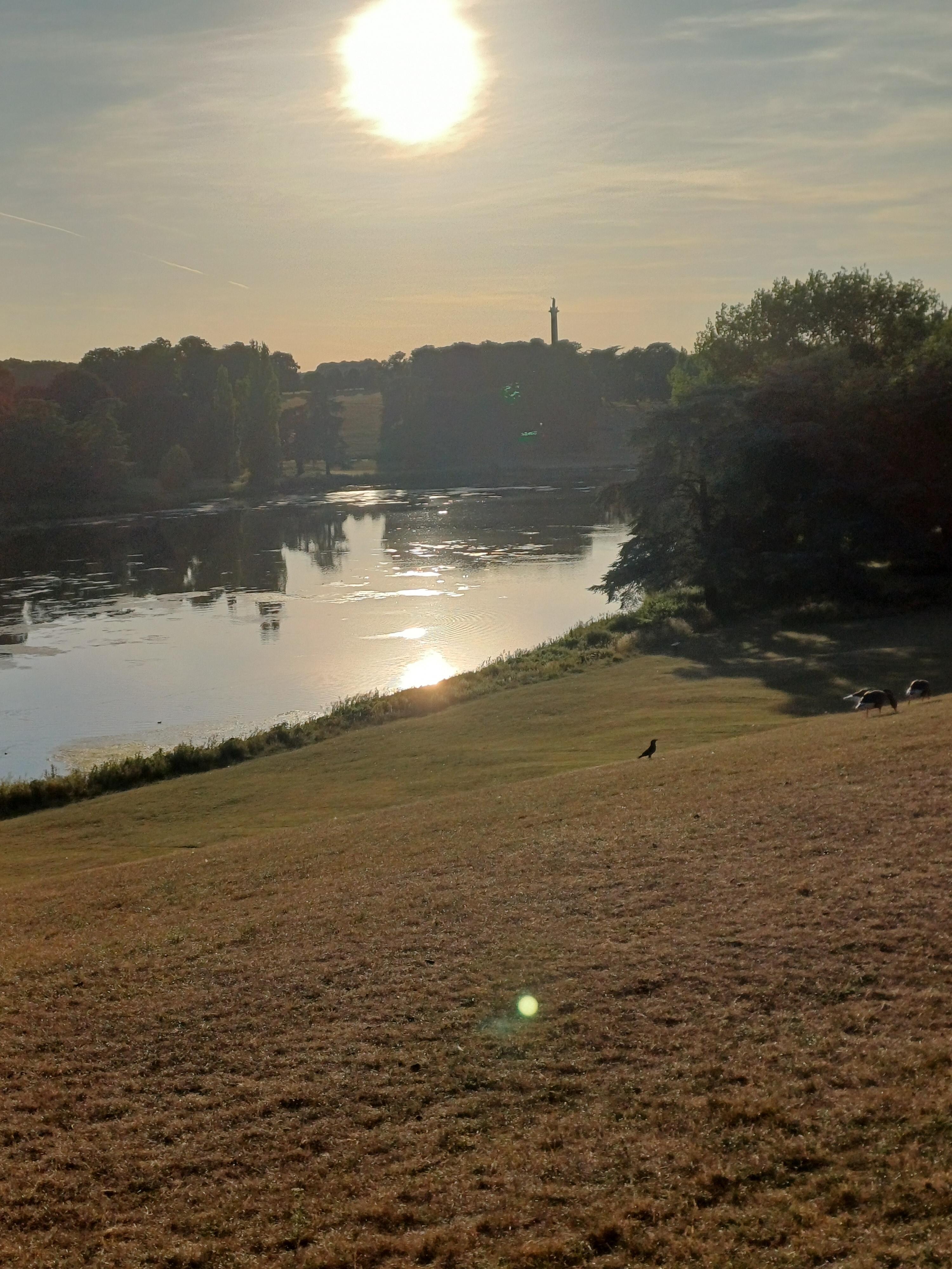Blenheim Park on the hottest day of the year