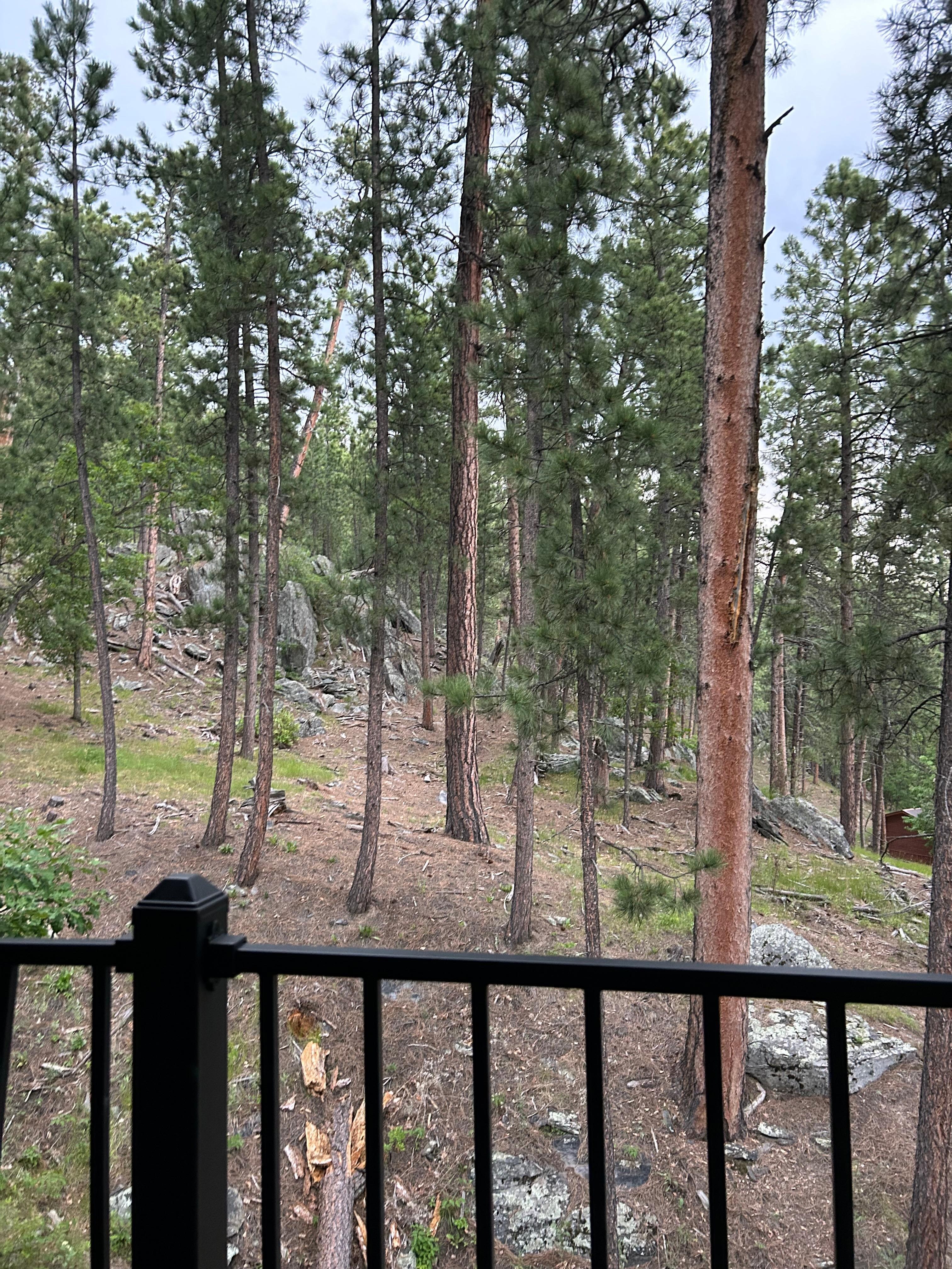Off the deck