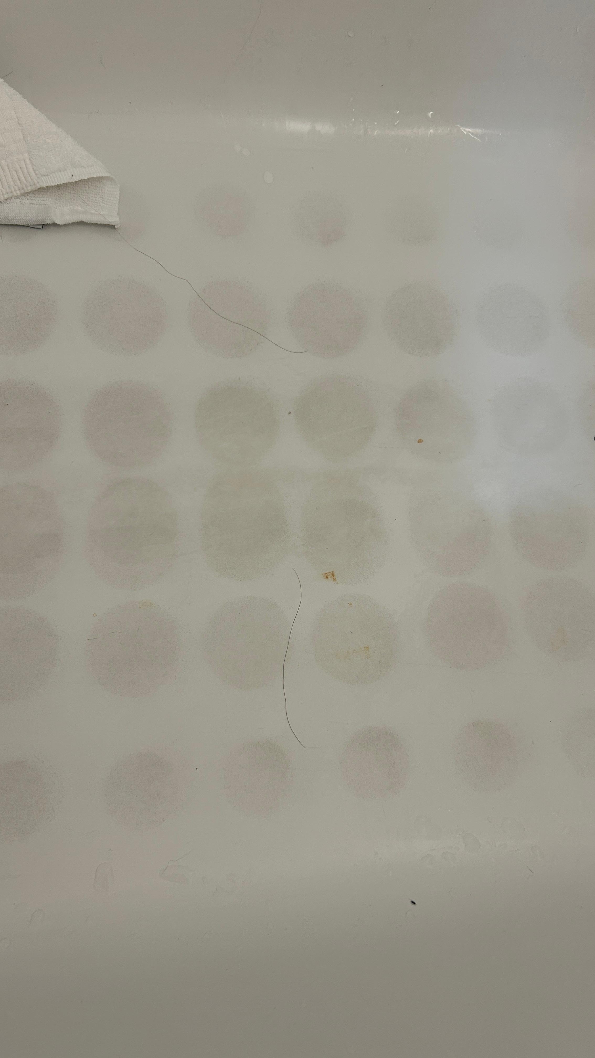 More of not our hair 