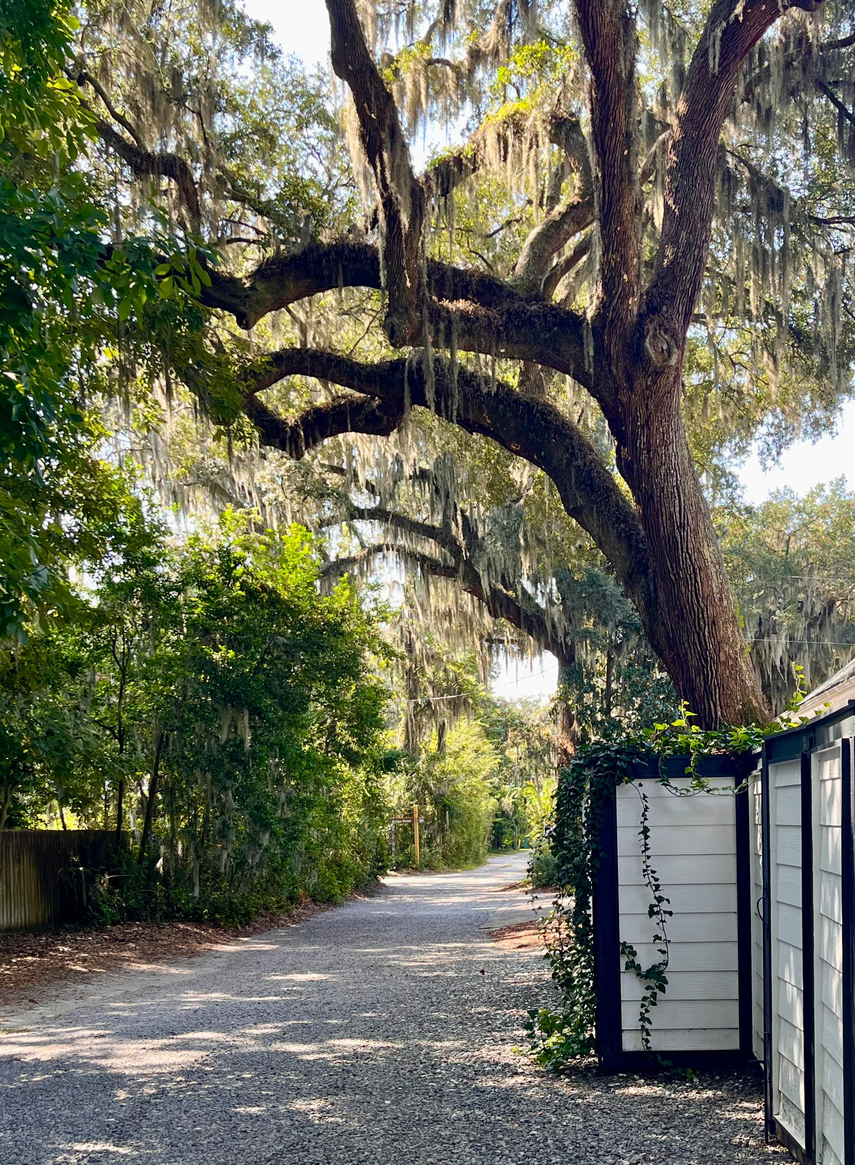 Peaceful property and beautiful landscaping.