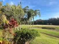 Beautiful grounds outside the patio