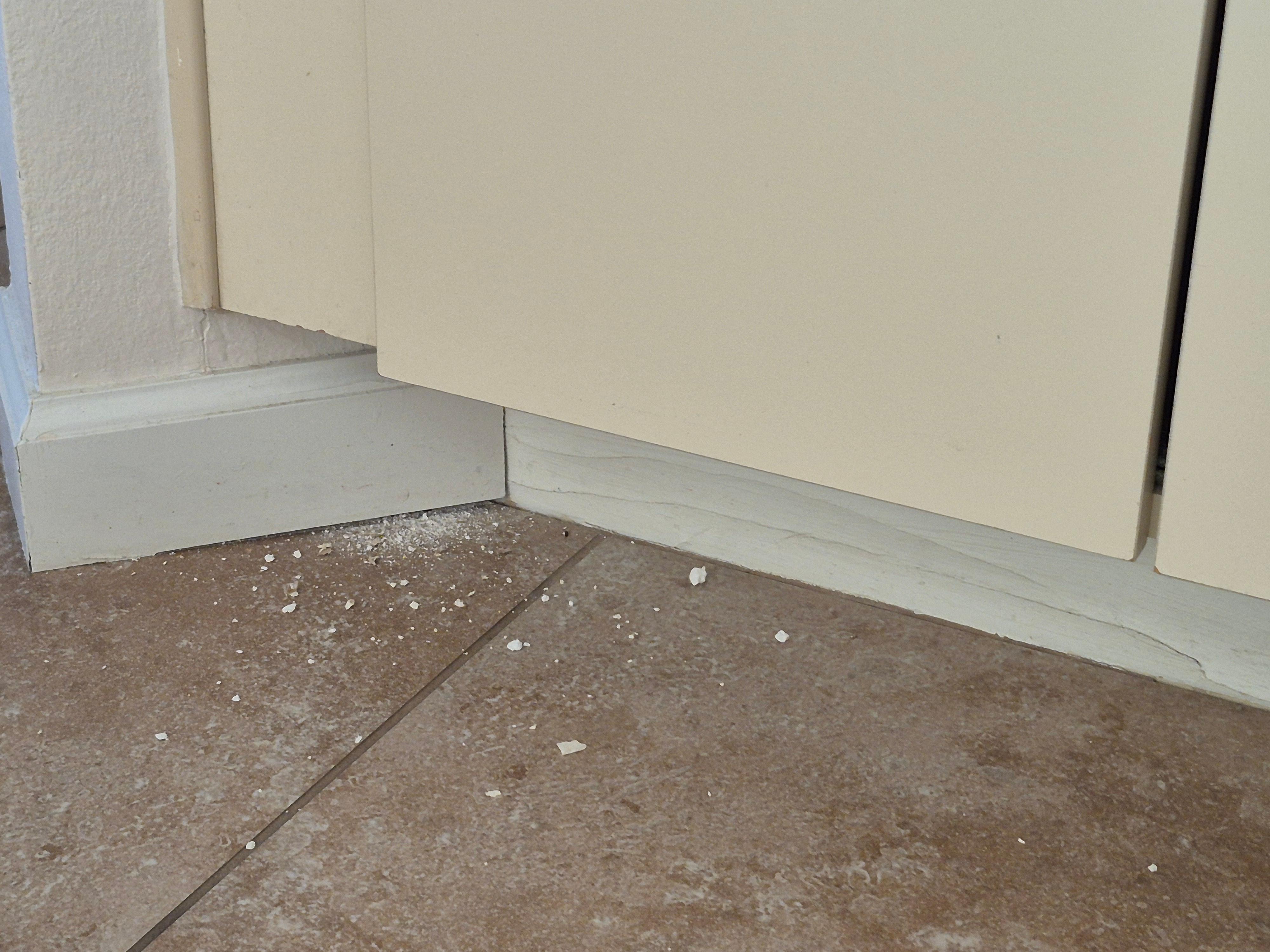 Some evidence that the critter left one night as well as the refrigerator grill that was dislodged.