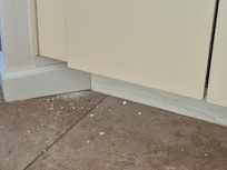 Some evidence that the critter left one night as well as the refrigerator grill that was dislodged.