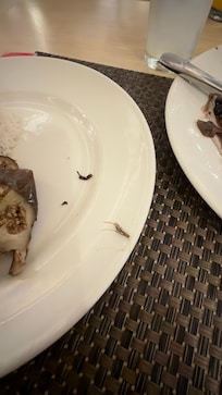 Bicho na comida no restaurante brasileiro. Foi o único restaurante que nos desapontou e justamente oq mais tinham expectativas por sermos brasileiros