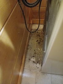 washer has a slight leak and there is mold behind it.