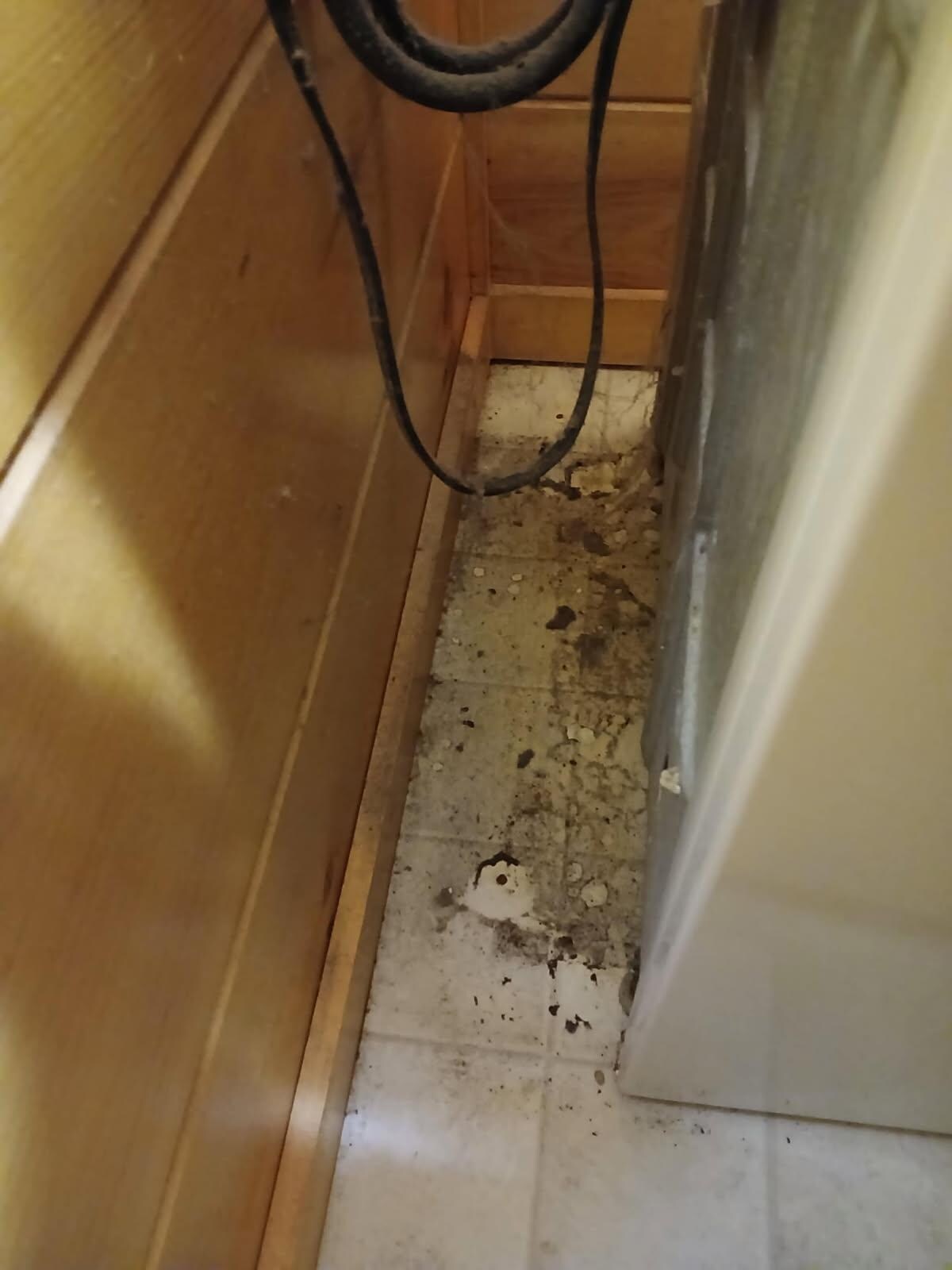 washer has a slight leak and there is mold behind it.
