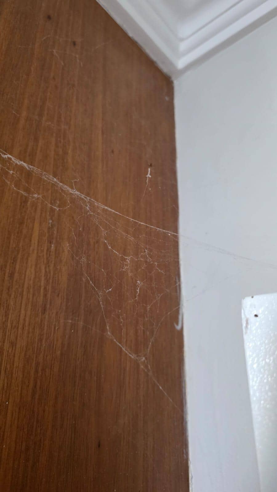 Teia de aranha no quarto principal