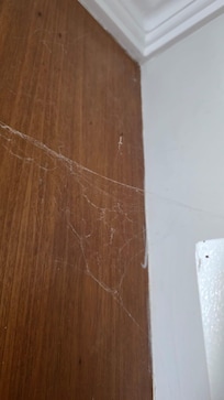 Teia de aranha no quarto principal