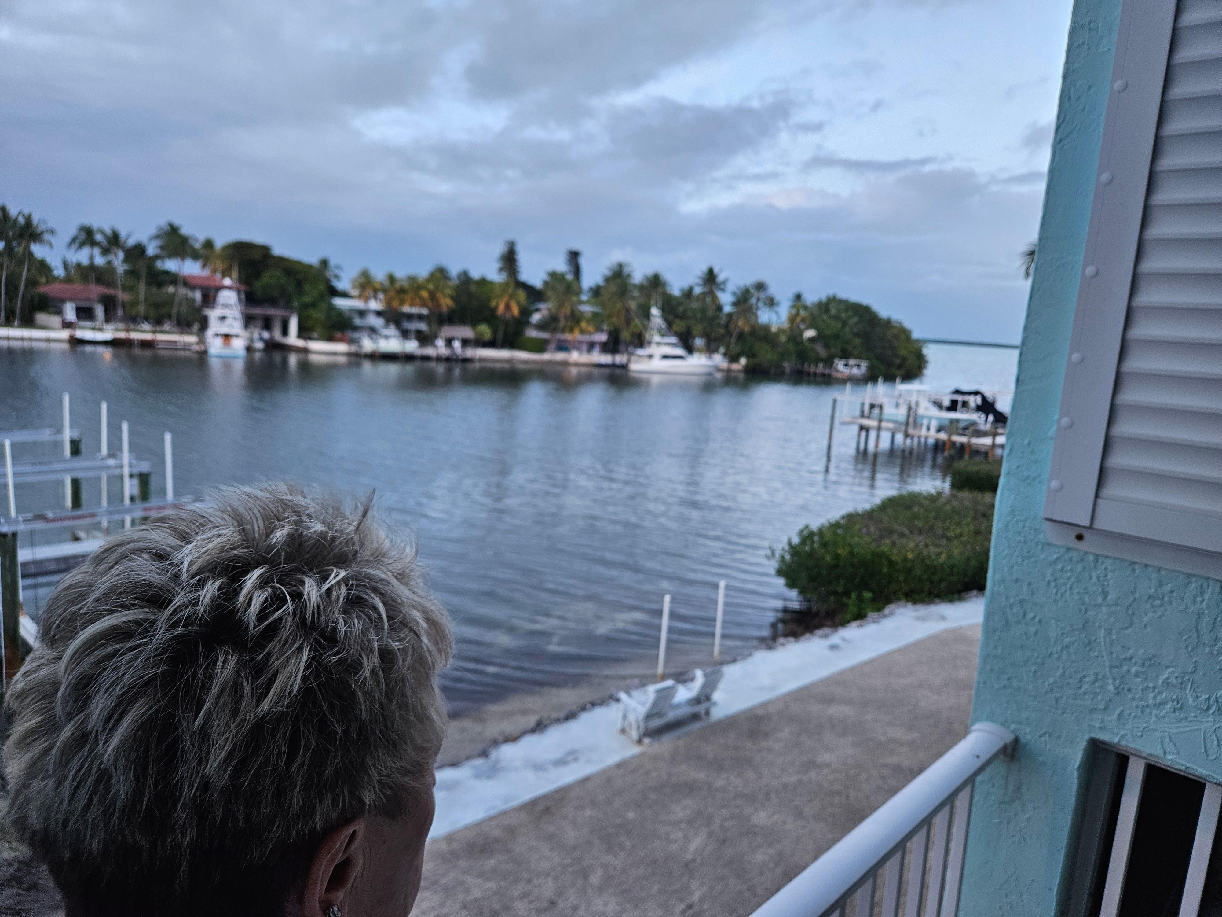 View on the bay side