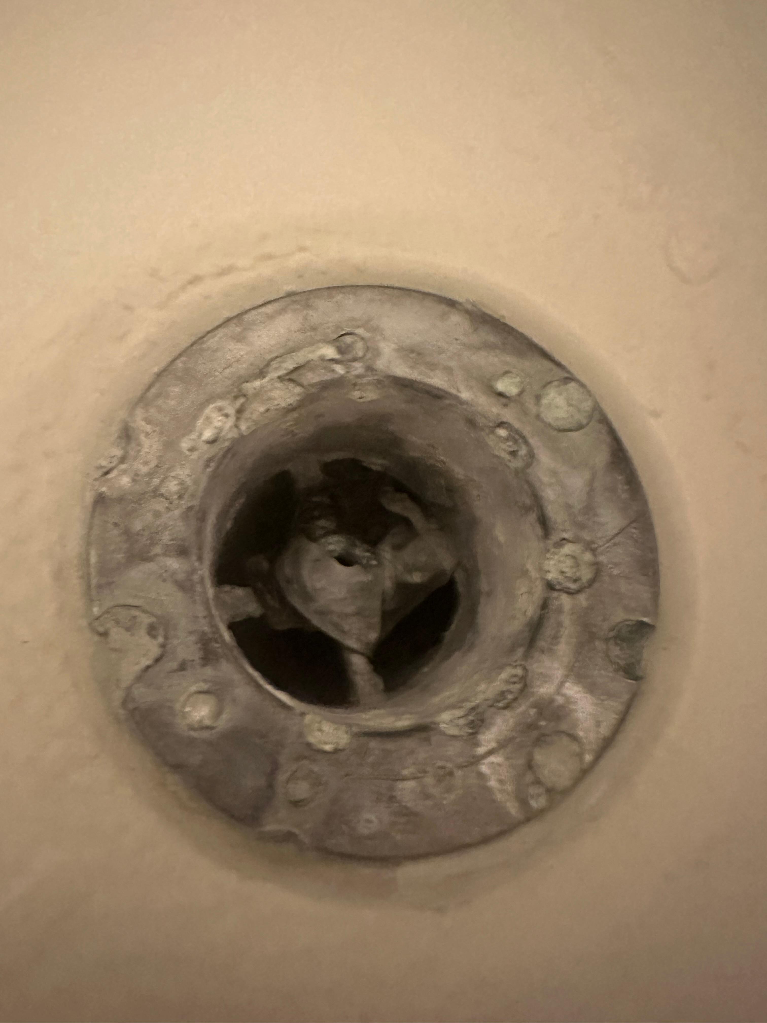 Hair in bathtub drain