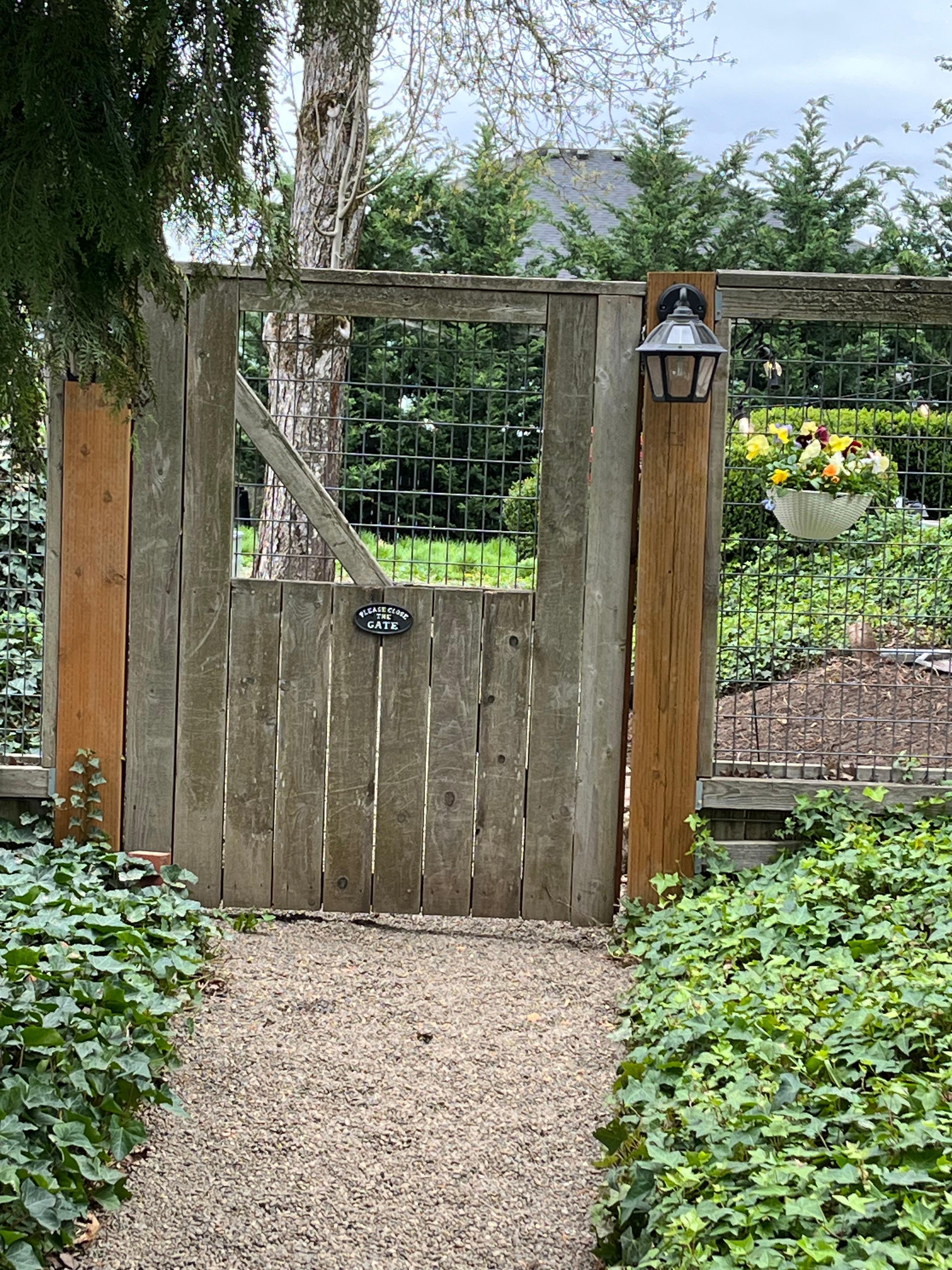 Welcoming path and gate with live plants and flowers all around.    🌷