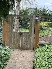 Welcoming path and gate with live plants and flowers all around. 🌷