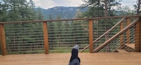 Relaxing on the Deck.