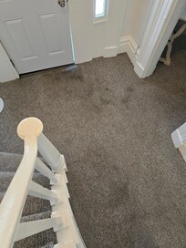 Example of filthy carpets. This is at the bottom of the stairs. The bedroom carpets are also stained enough that we didn't want to take our shoes off.