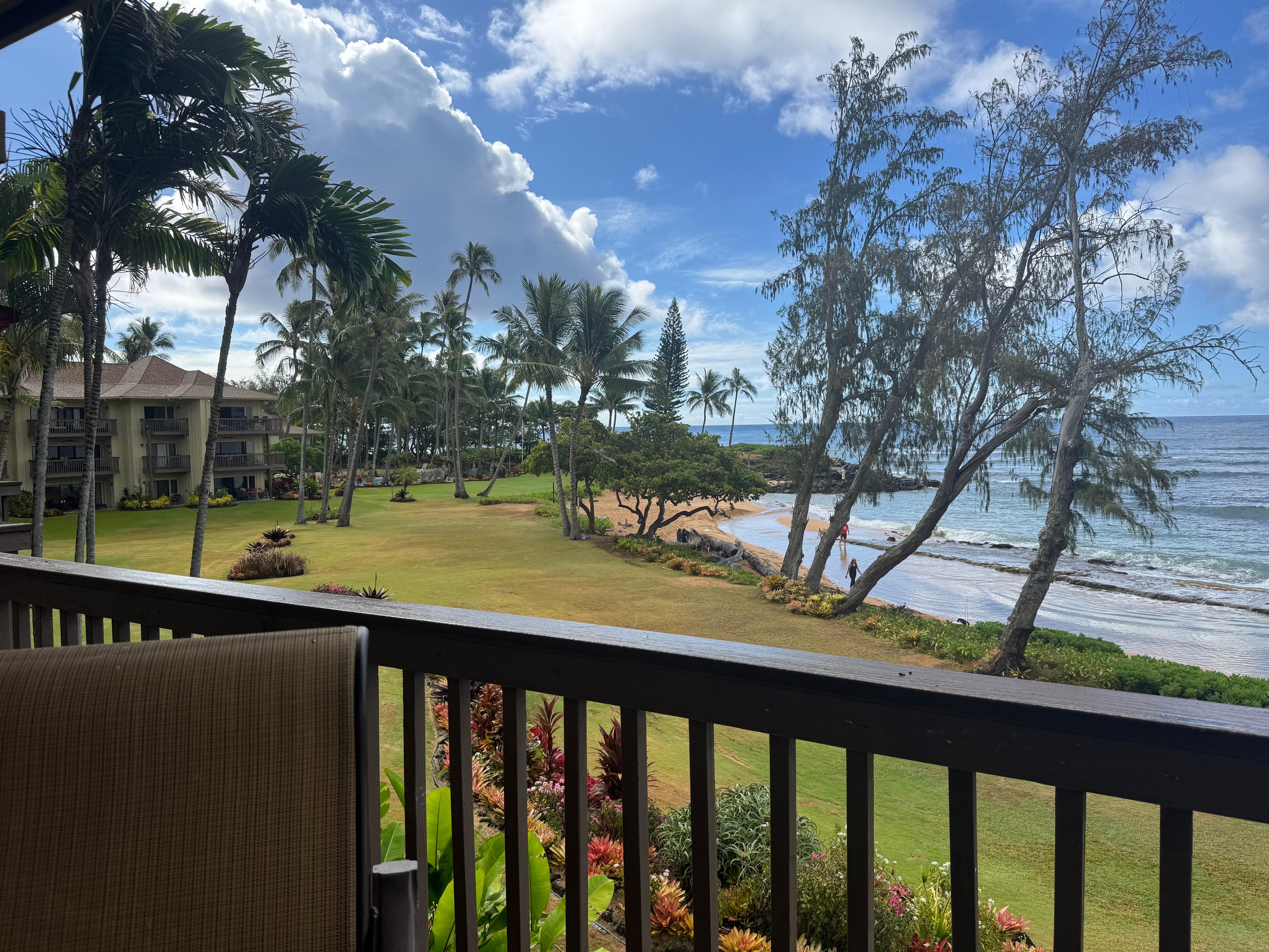 beach and lawn from balcony