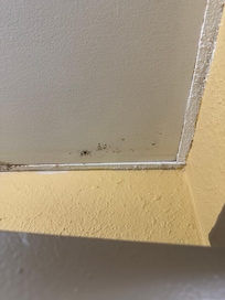 Bathroom ceiling