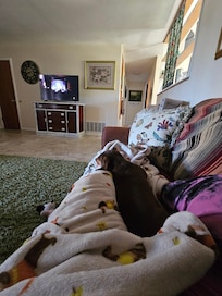 Relaxing on the couch after a day of shopping