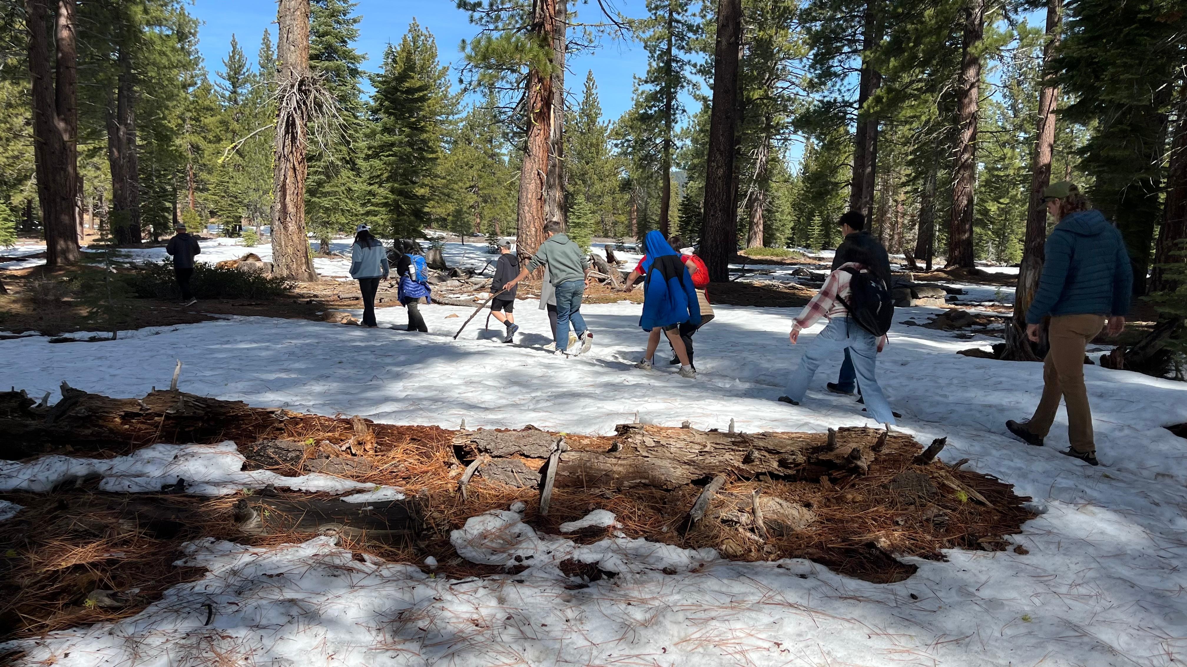 Sawtooth trail
