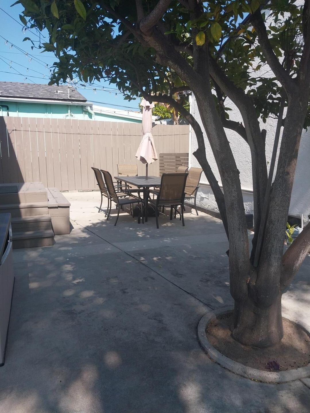 Back yard 