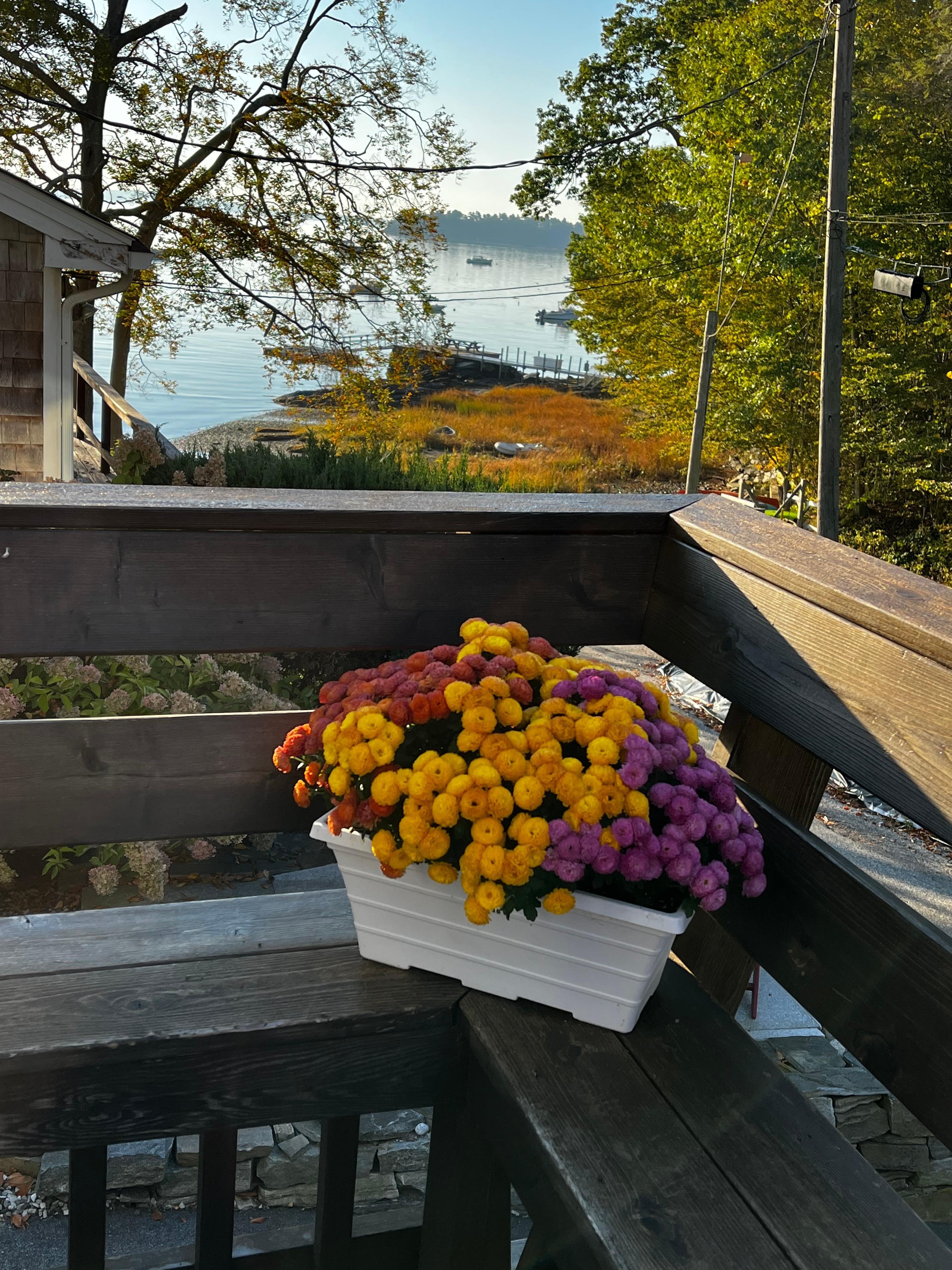 Flowers were a nice addition