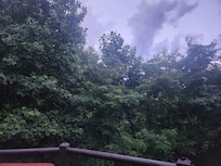 The view