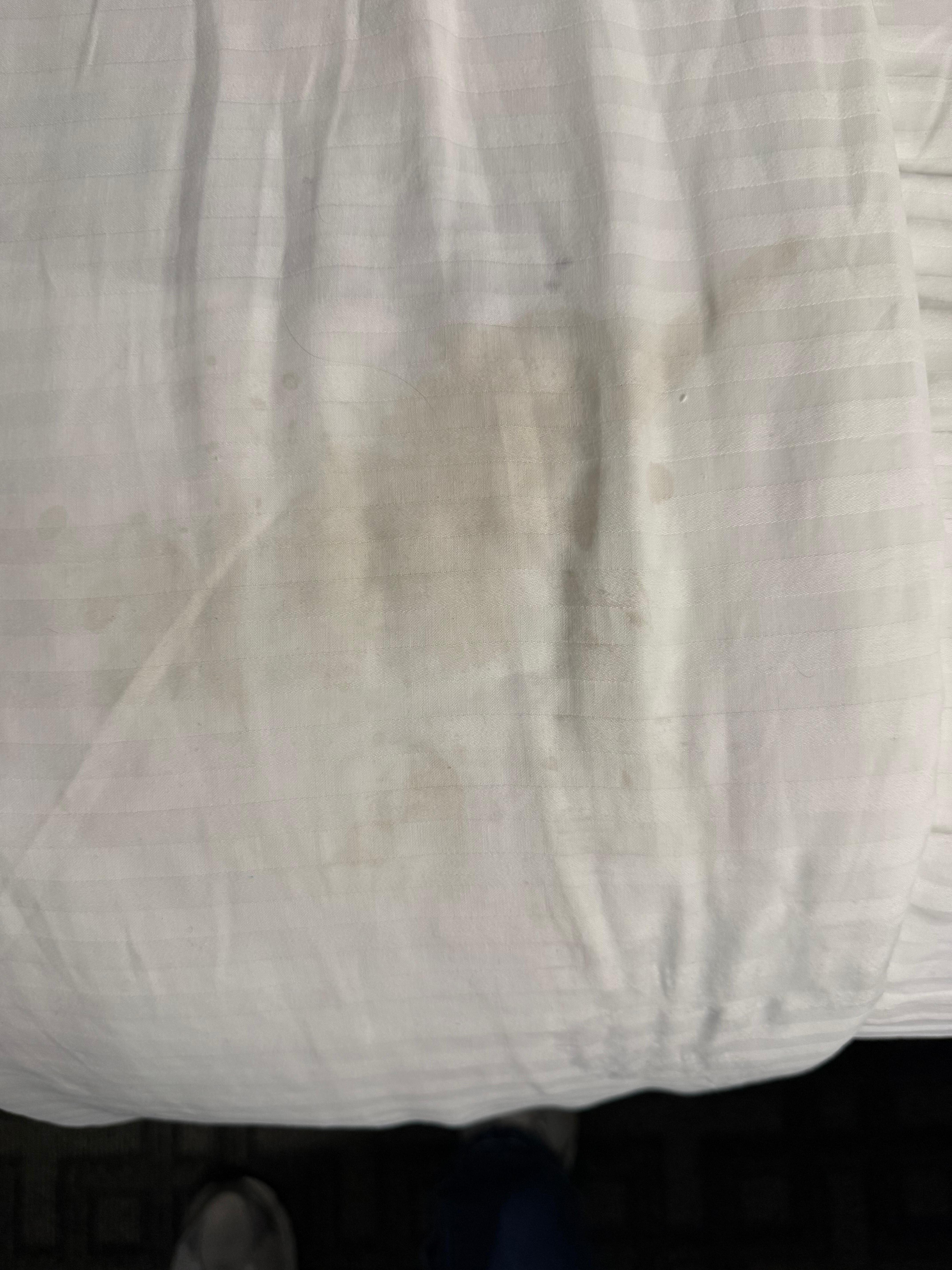 Stain on a “clean” made bed at check in. 