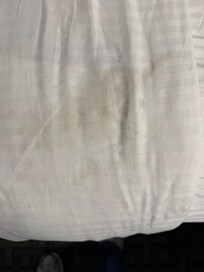 Stain on a “clean” made bed at check in.