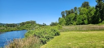 Back yard