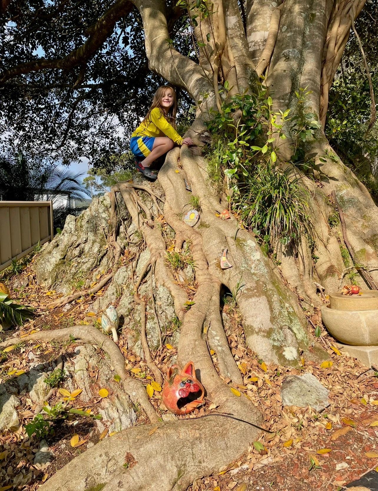 The most incredible tree.