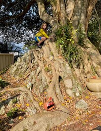 The most incredible tree.