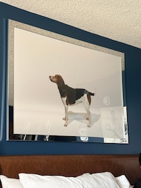 We love beagles!