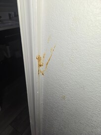 What appears to be fecal matter