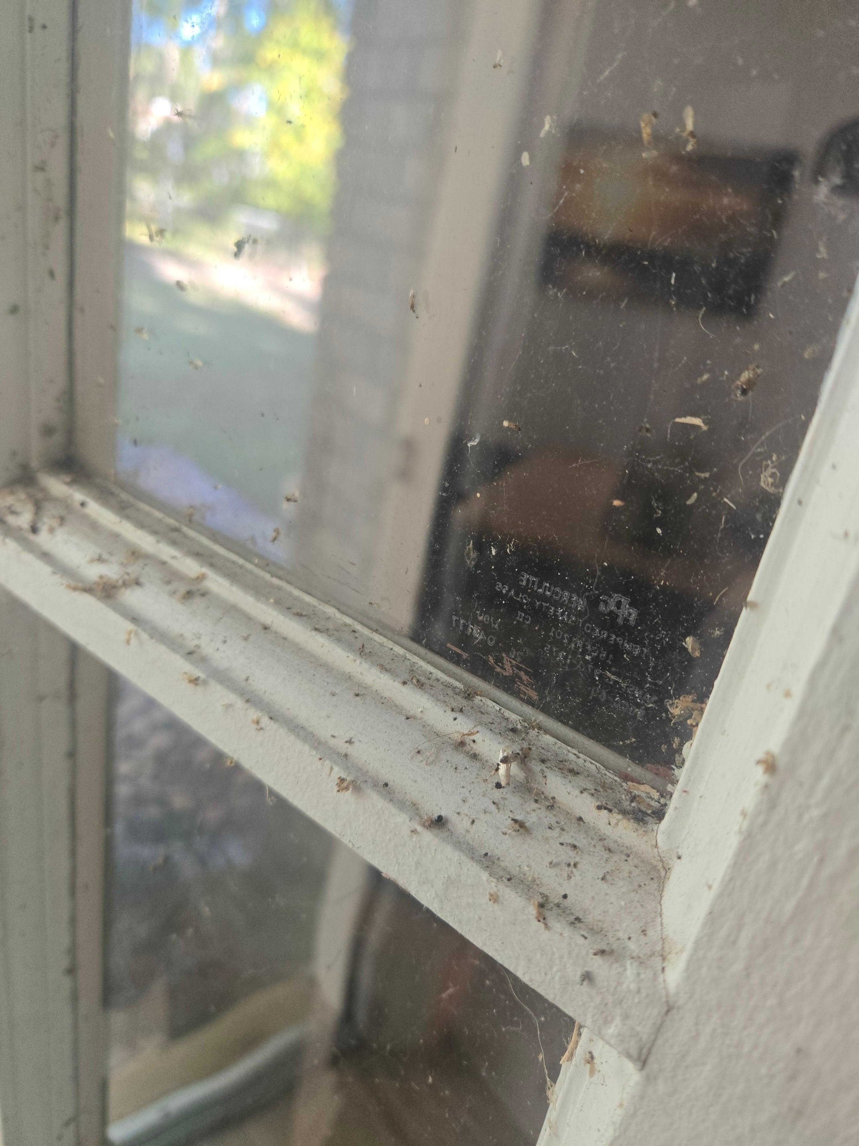 Door that hasn't been cleaned