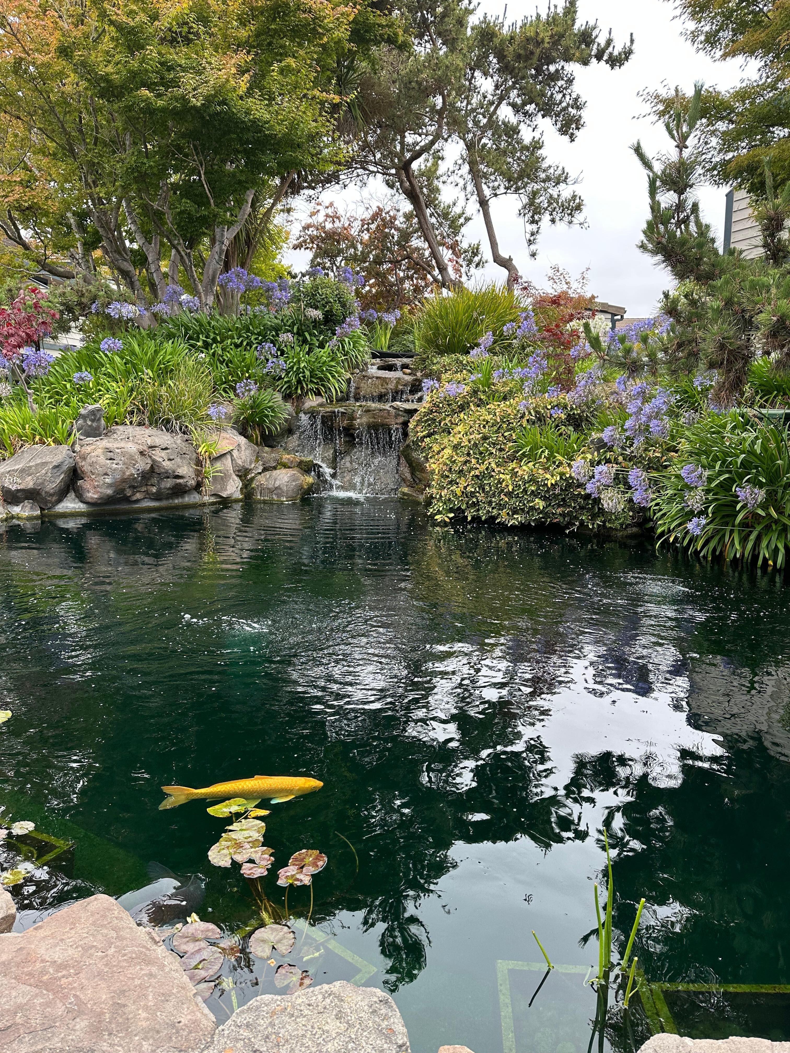 Beautiful landscape
