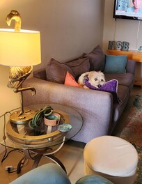 Our pup felt quite at home!