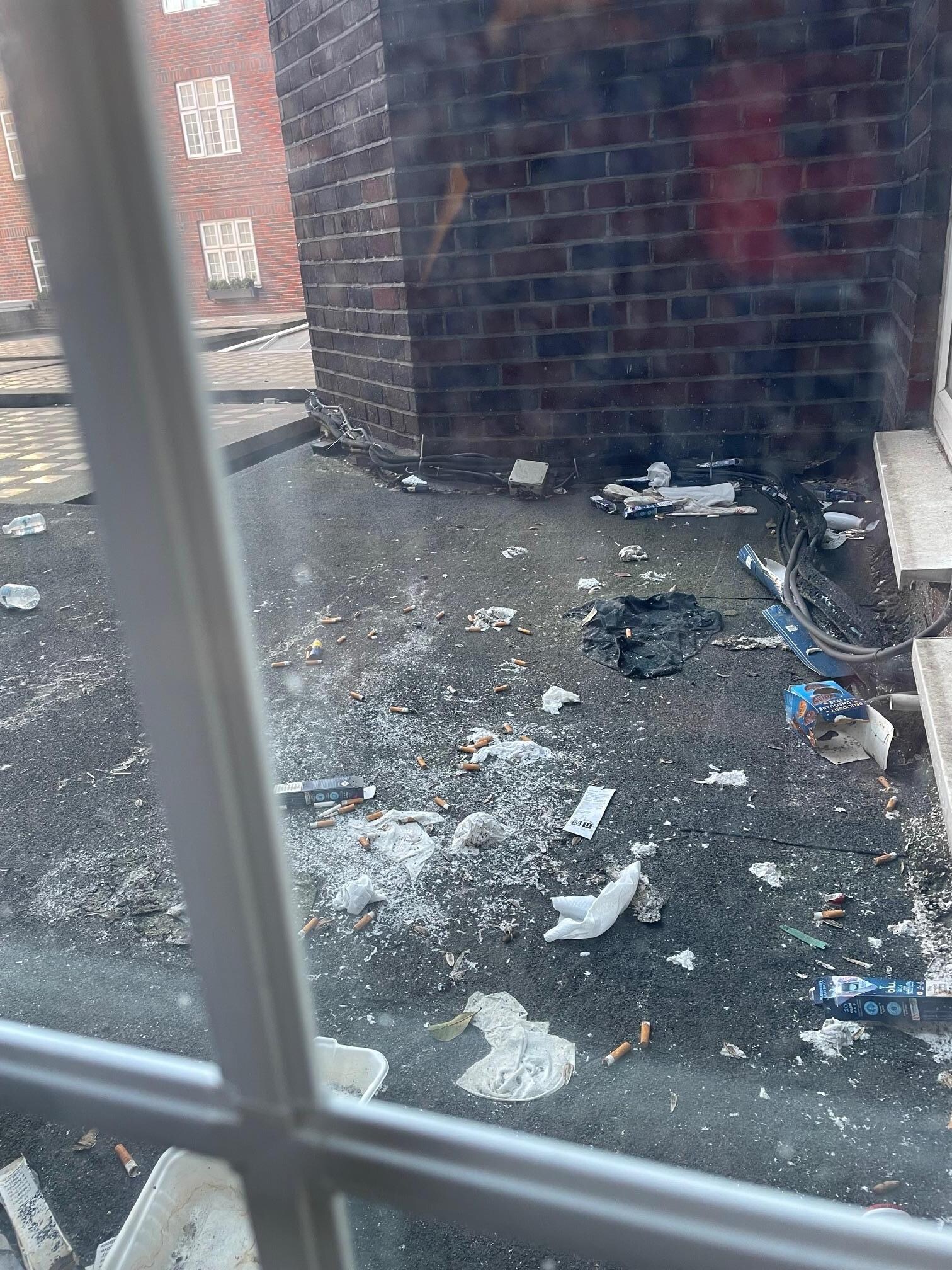 Garbage outside kitchen window