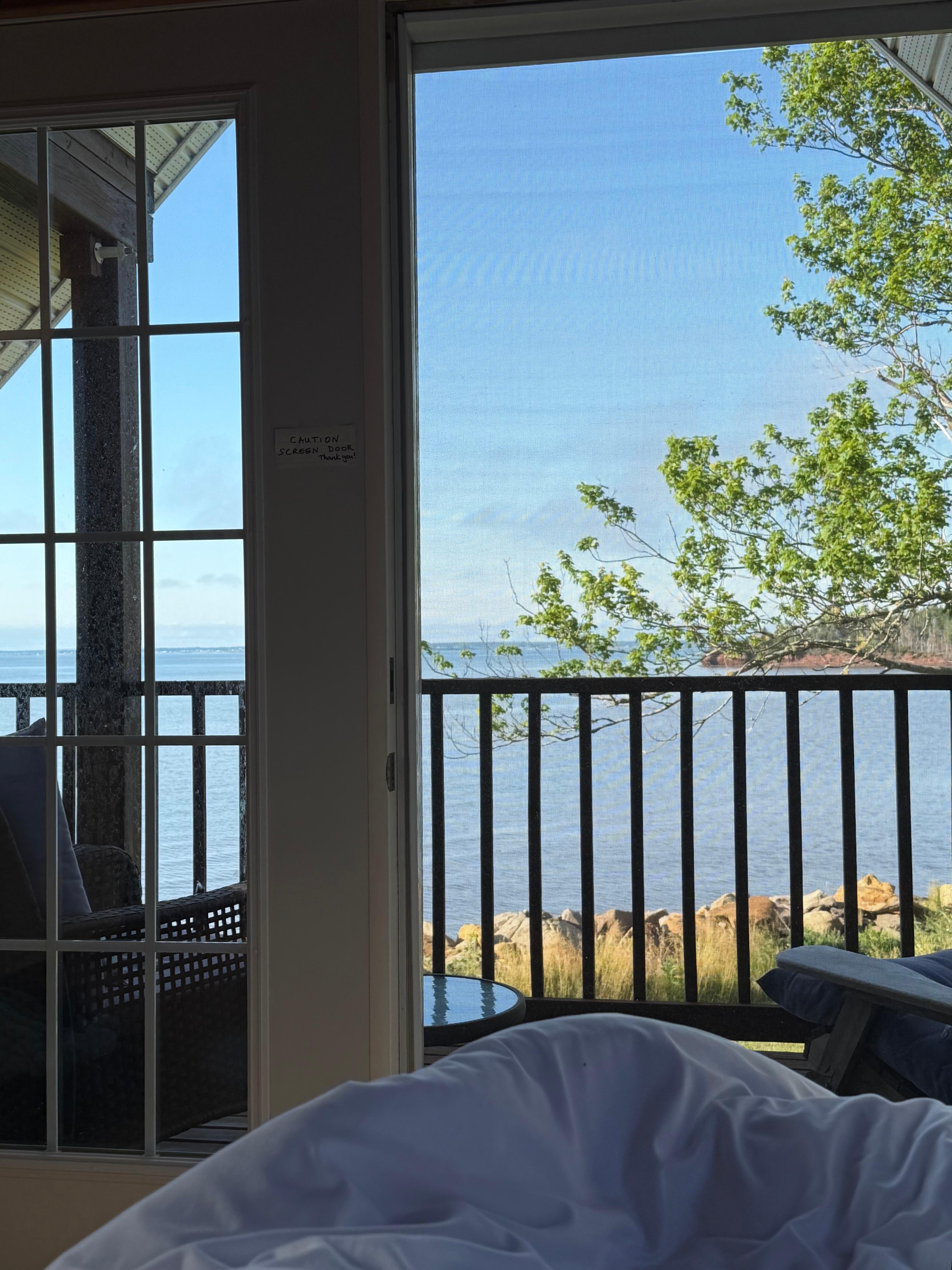 The view from bed