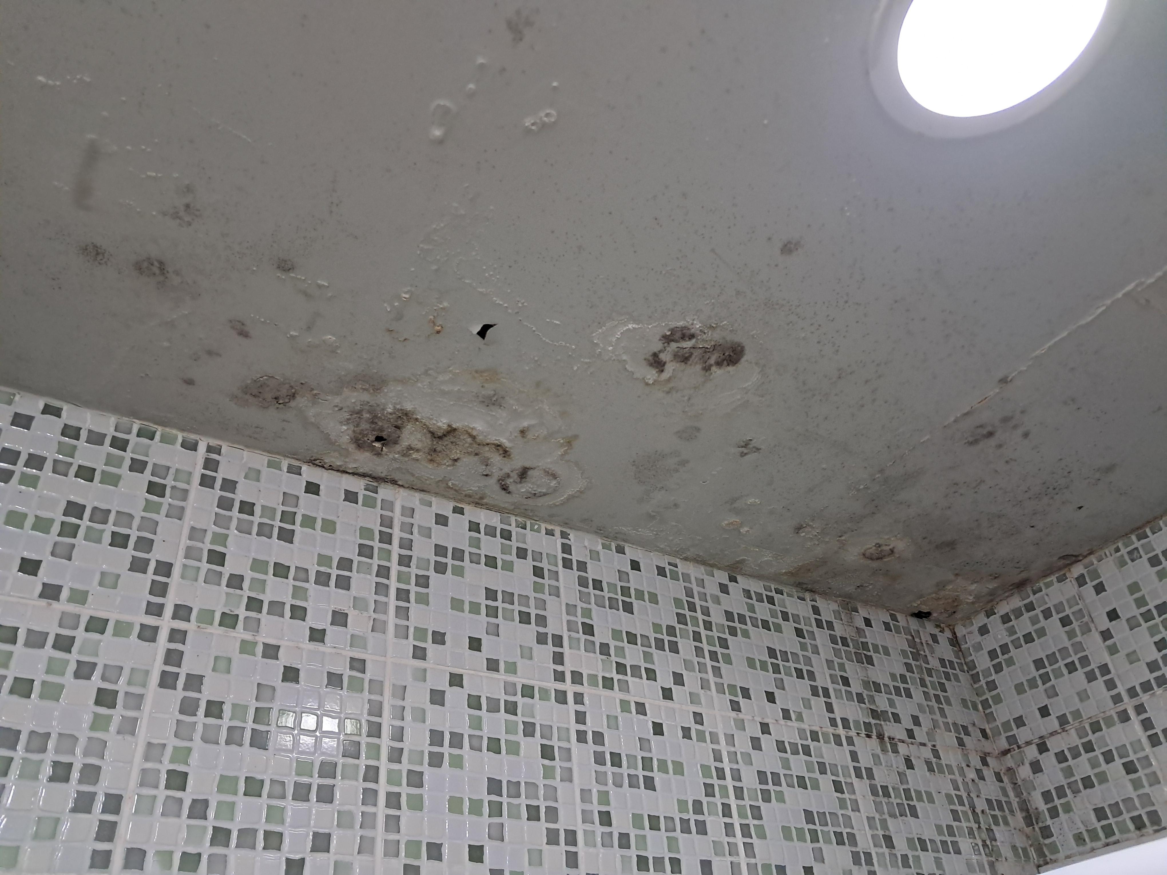 teto do banheiro com infiltrações.