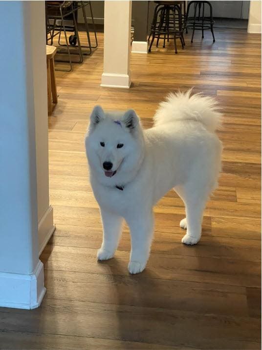 Exploring her new home..