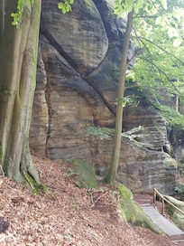 Elbsandstein