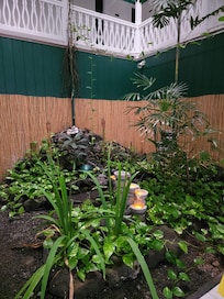 Common area at Big Island Retreat