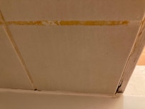 the shower wall