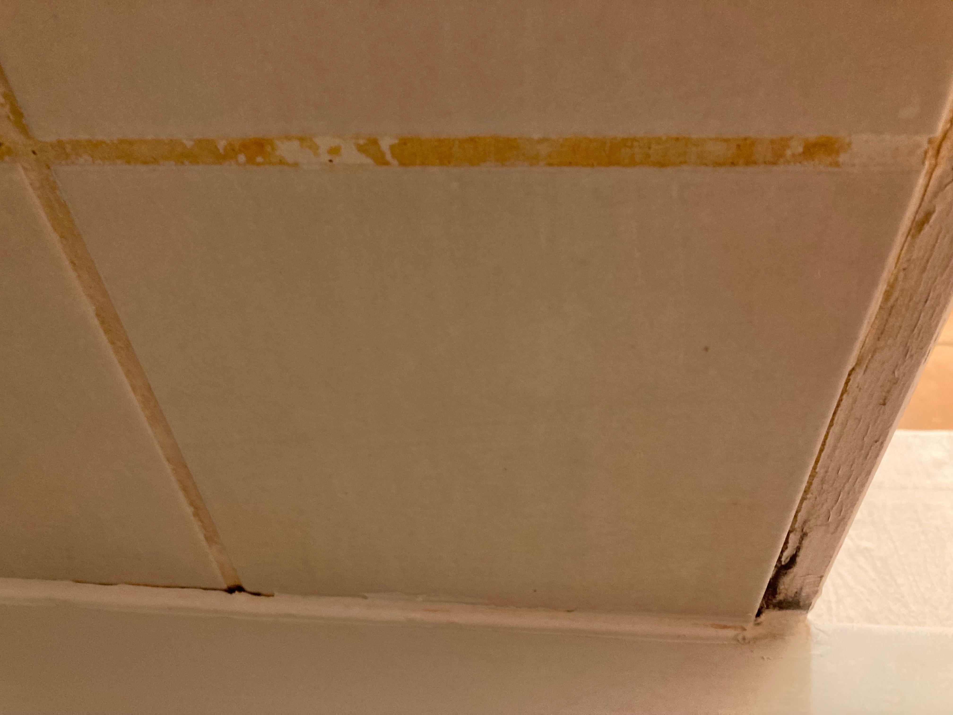 the shower wall