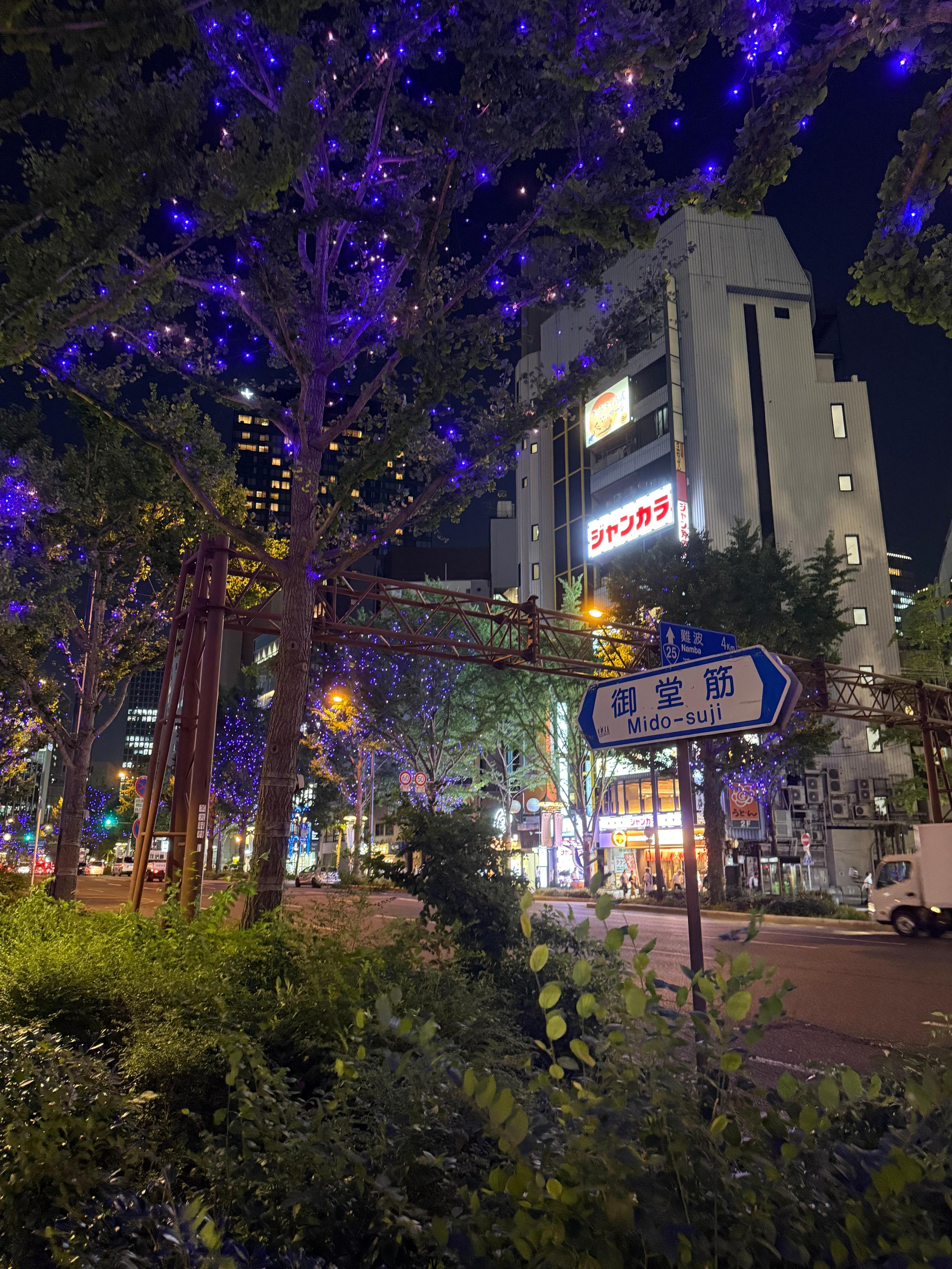 御堂筋のイルミネーションは歩く価値ありますよ！