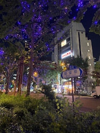御堂筋のイルミネーションは歩く価値ありますよ!