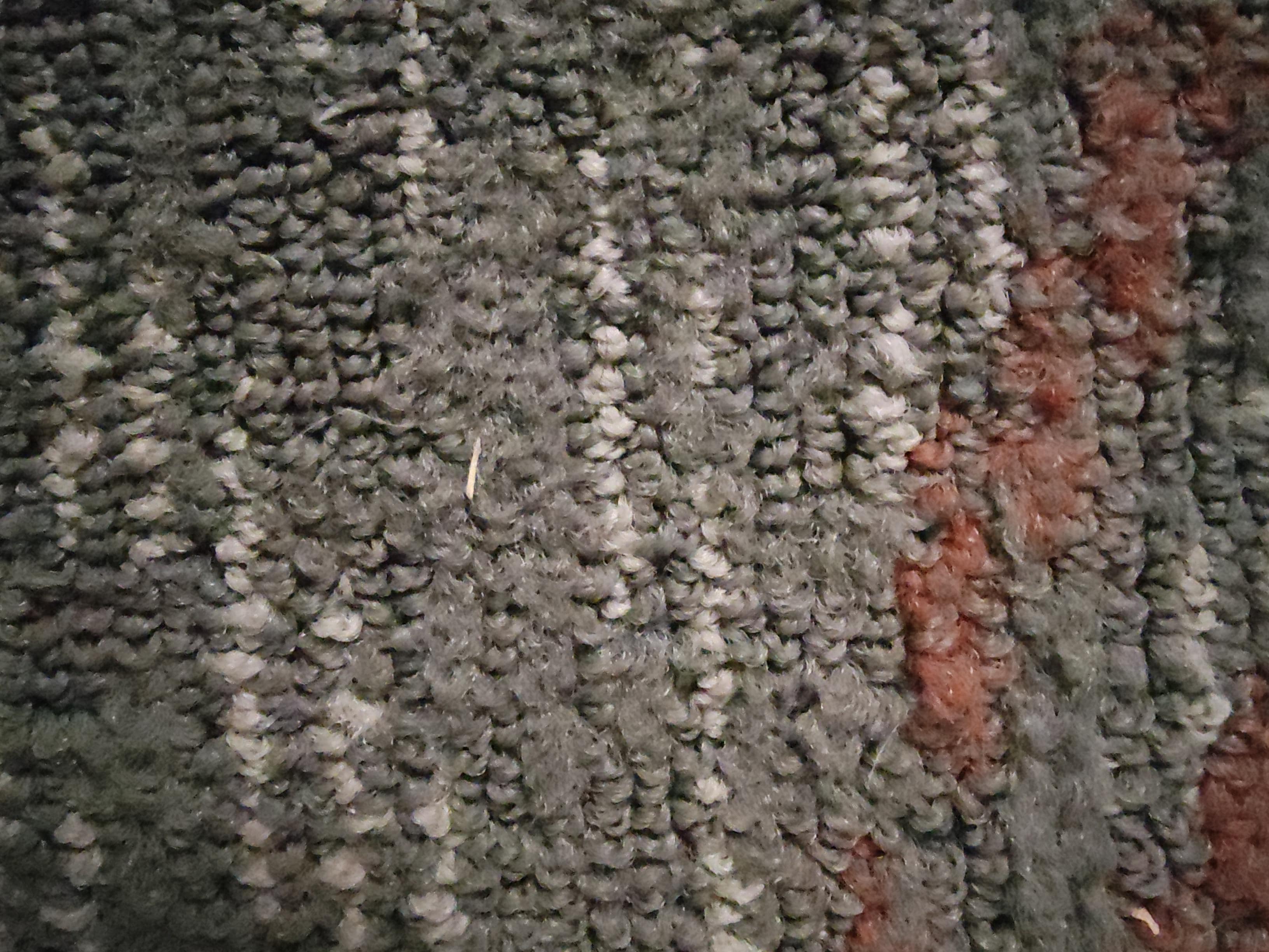 Toe nails.  My wife had picked up several more. 