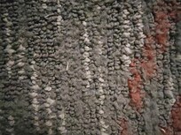 Toe nails. My wife had picked up several more.