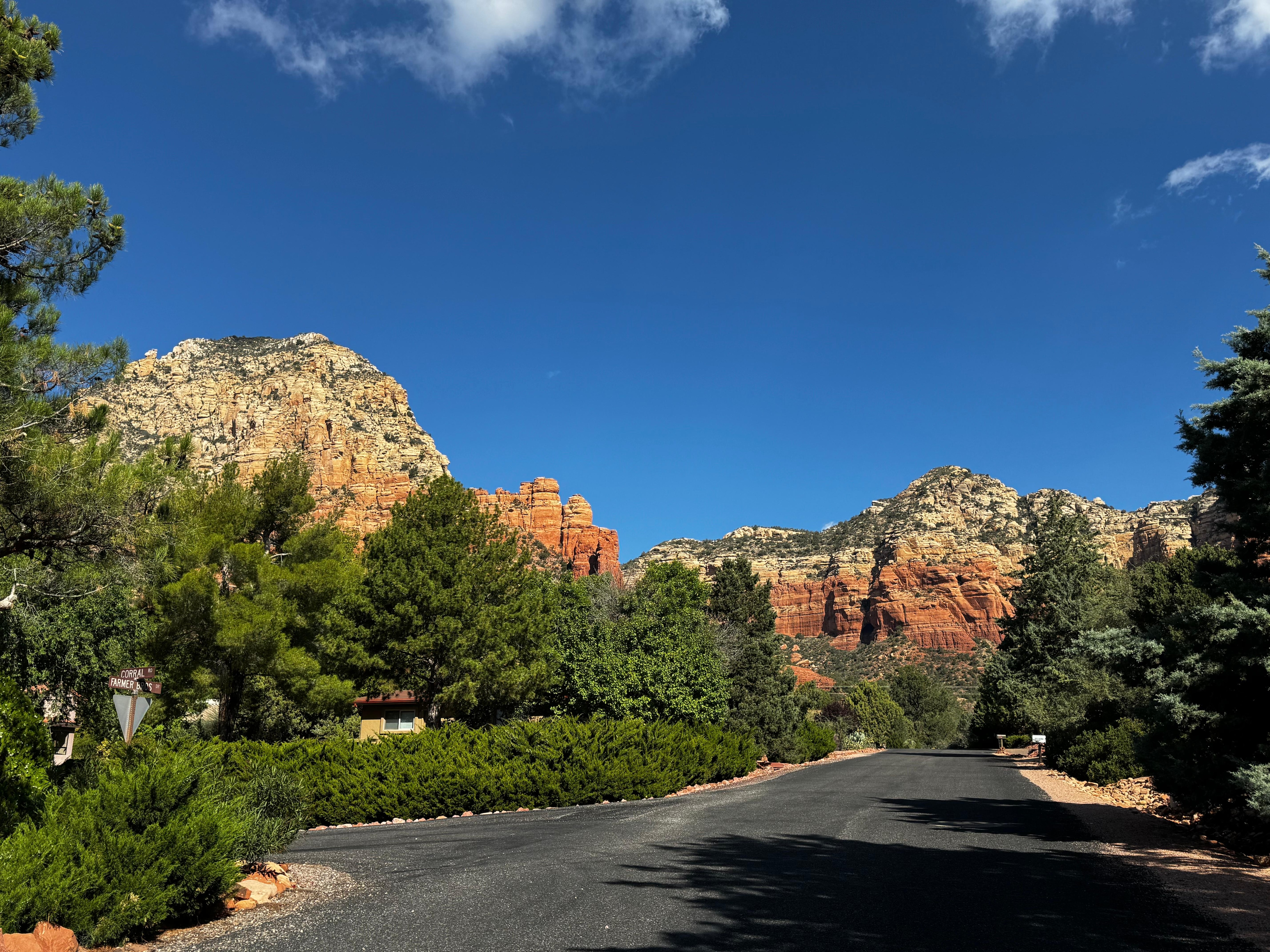 View from the neighborhood. 