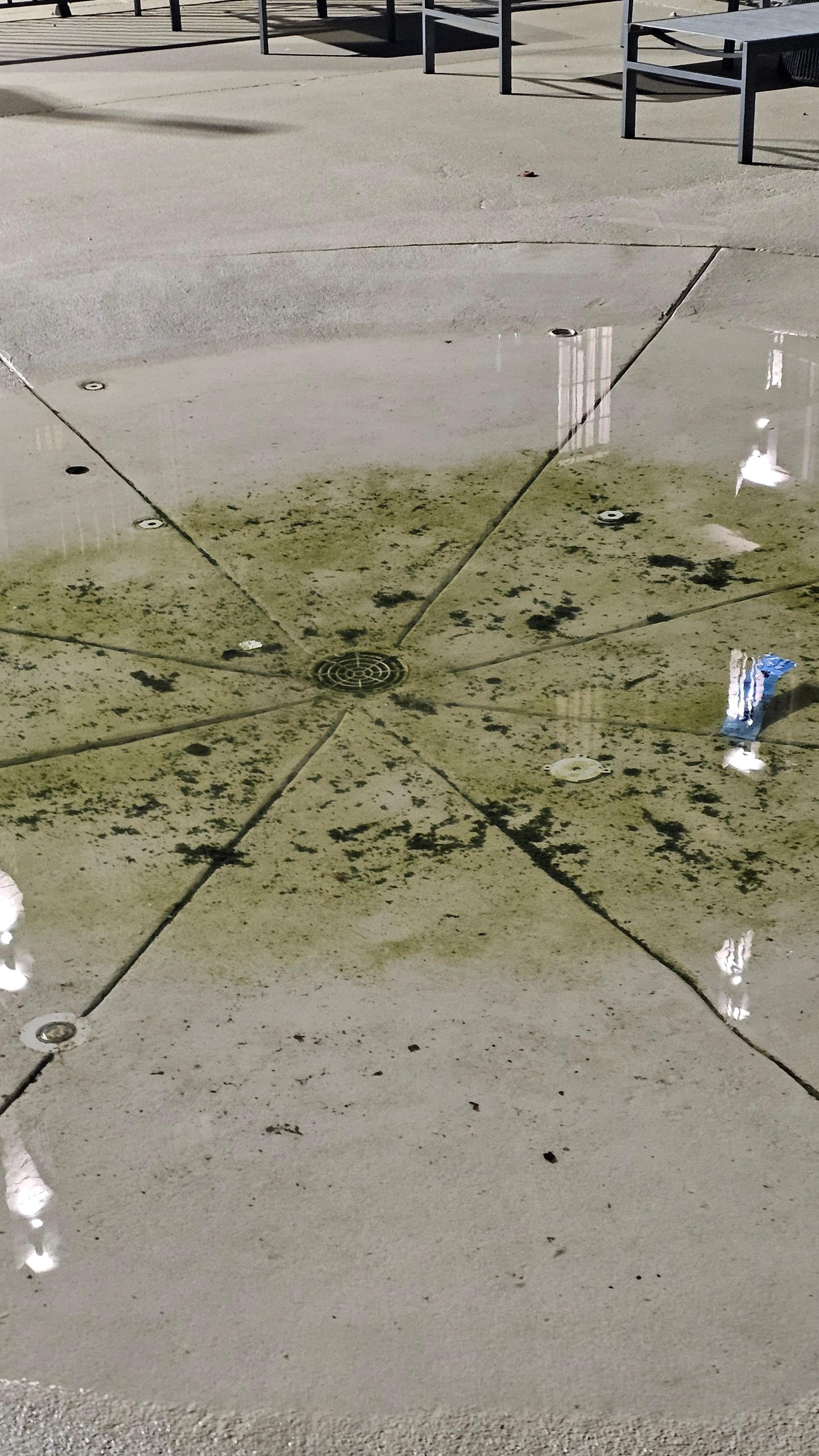 Gross pool area